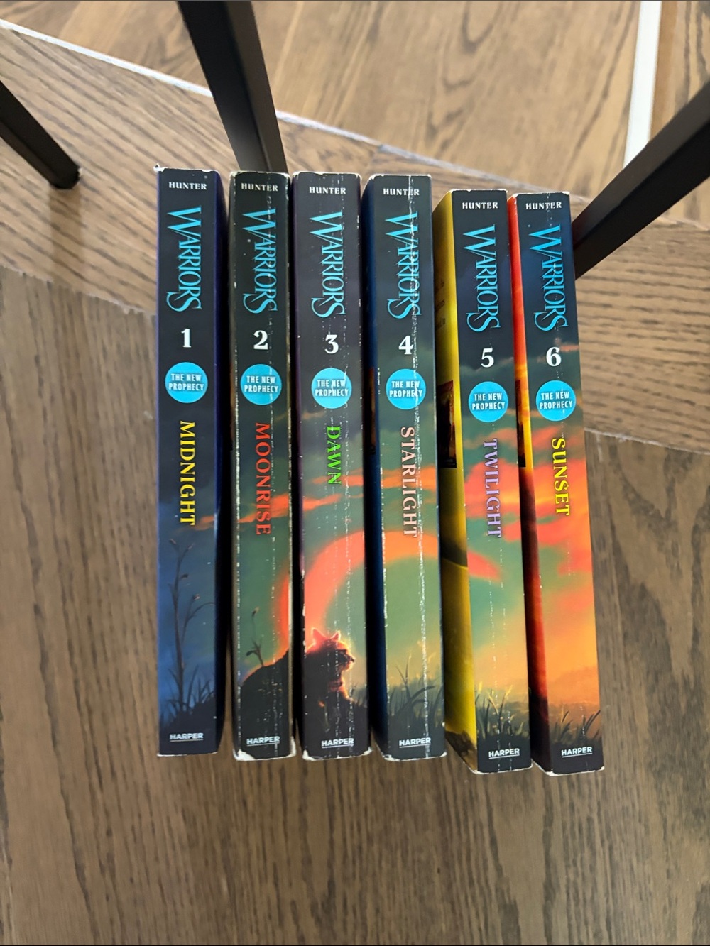 Hunter Warriors: series 2:  New Prophecy Books 1-6